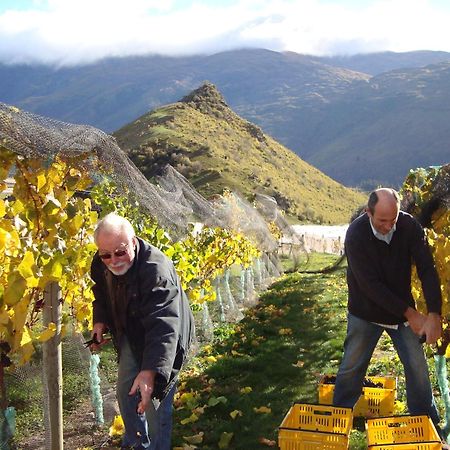 Mt Rosa Lodge Boutique Vineyard Accommodation Γουανάκα Εξωτερικό φωτογραφία