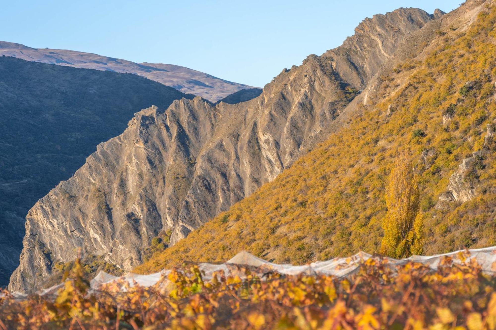 Mt Rosa Lodge Boutique Vineyard Accommodation Γουανάκα Εξωτερικό φωτογραφία