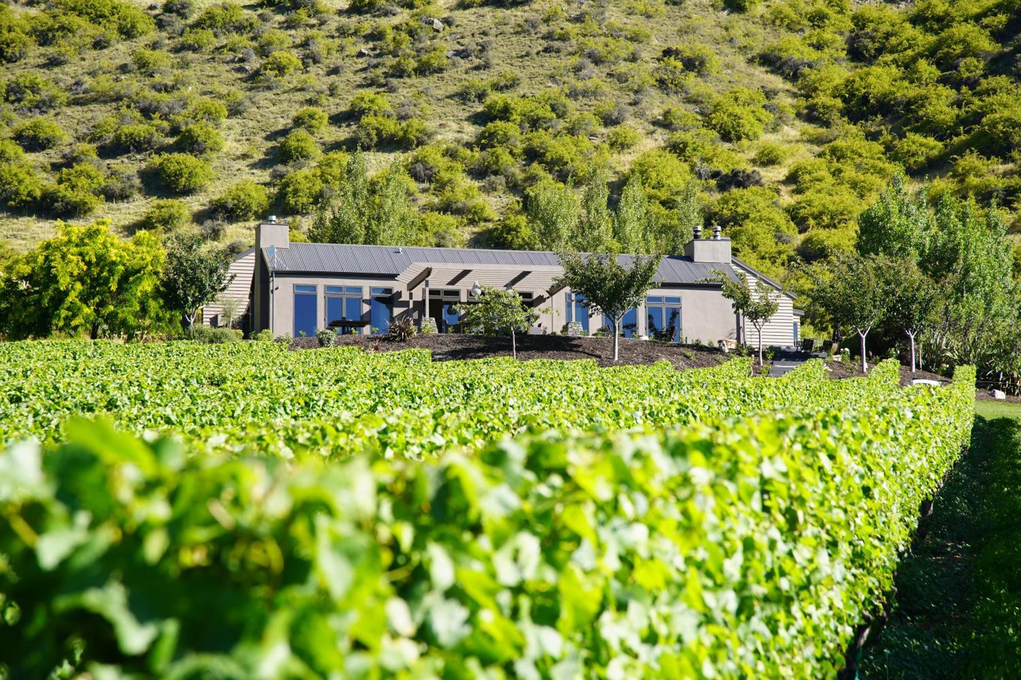 Mt Rosa Lodge Boutique Vineyard Accommodation Γουανάκα Εξωτερικό φωτογραφία