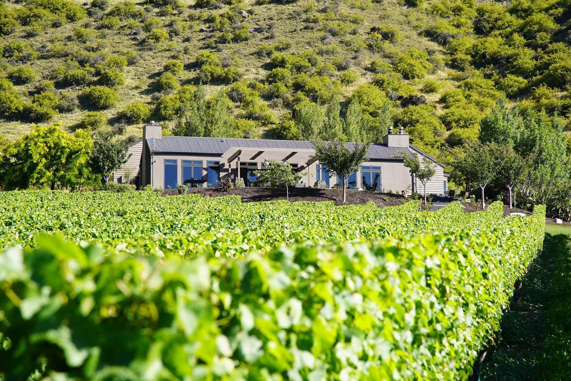 Mt Rosa Lodge Boutique Vineyard Accommodation Γουανάκα Εξωτερικό φωτογραφία