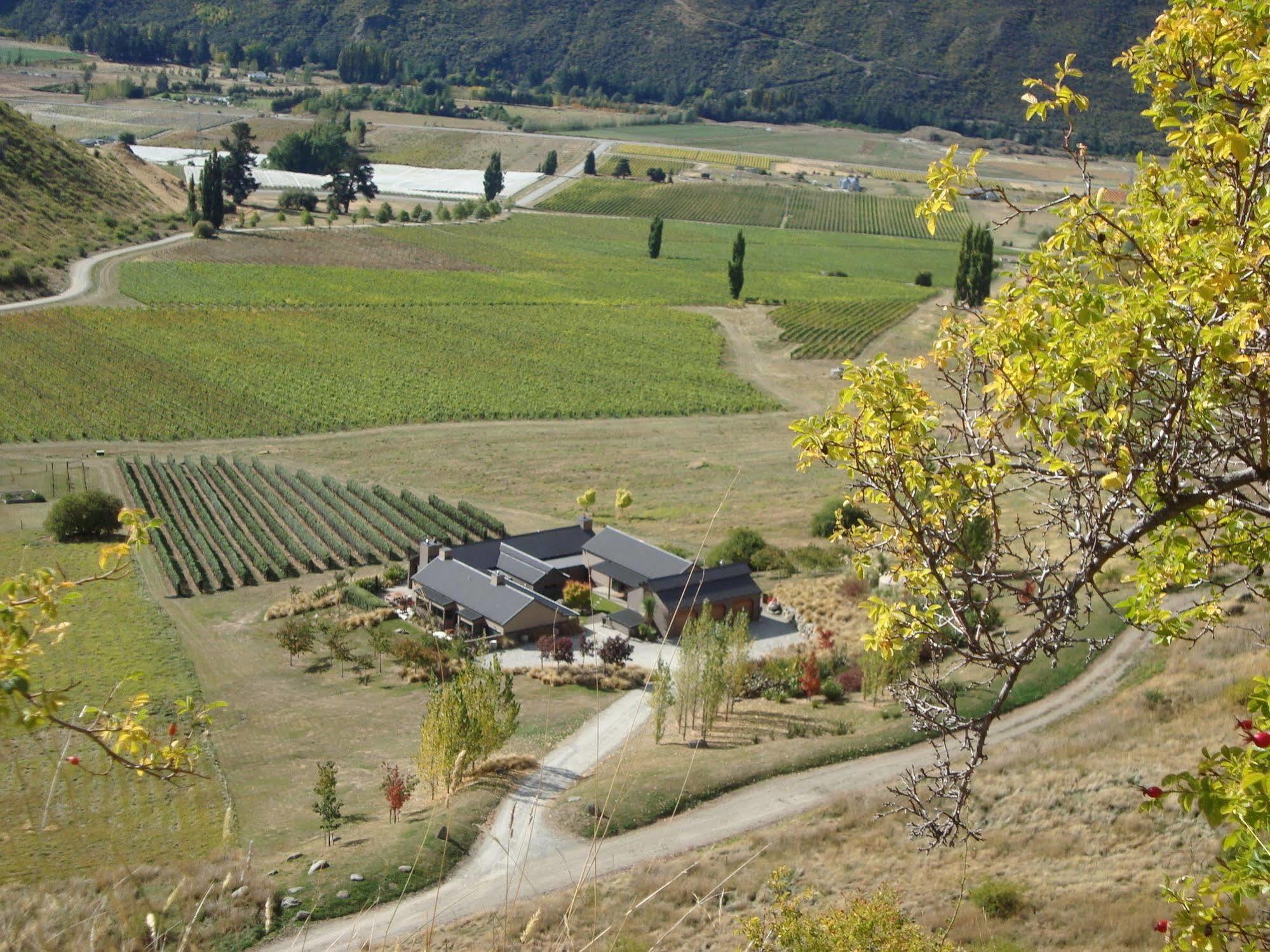 Mt Rosa Lodge Boutique Vineyard Accommodation Γουανάκα Εξωτερικό φωτογραφία